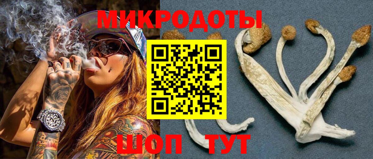 Нижний Новгород  Псилоцибиновые грибы Cubensis  Вход с VPN 